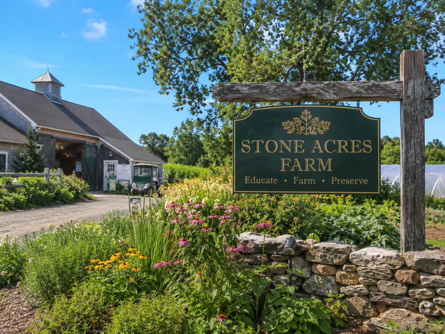 Young Cooks and Farmers kids summer program at Stone Acres Farm