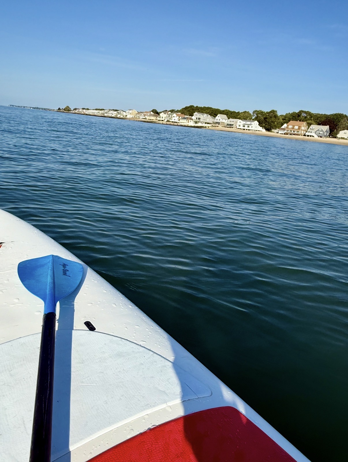 paddleboard